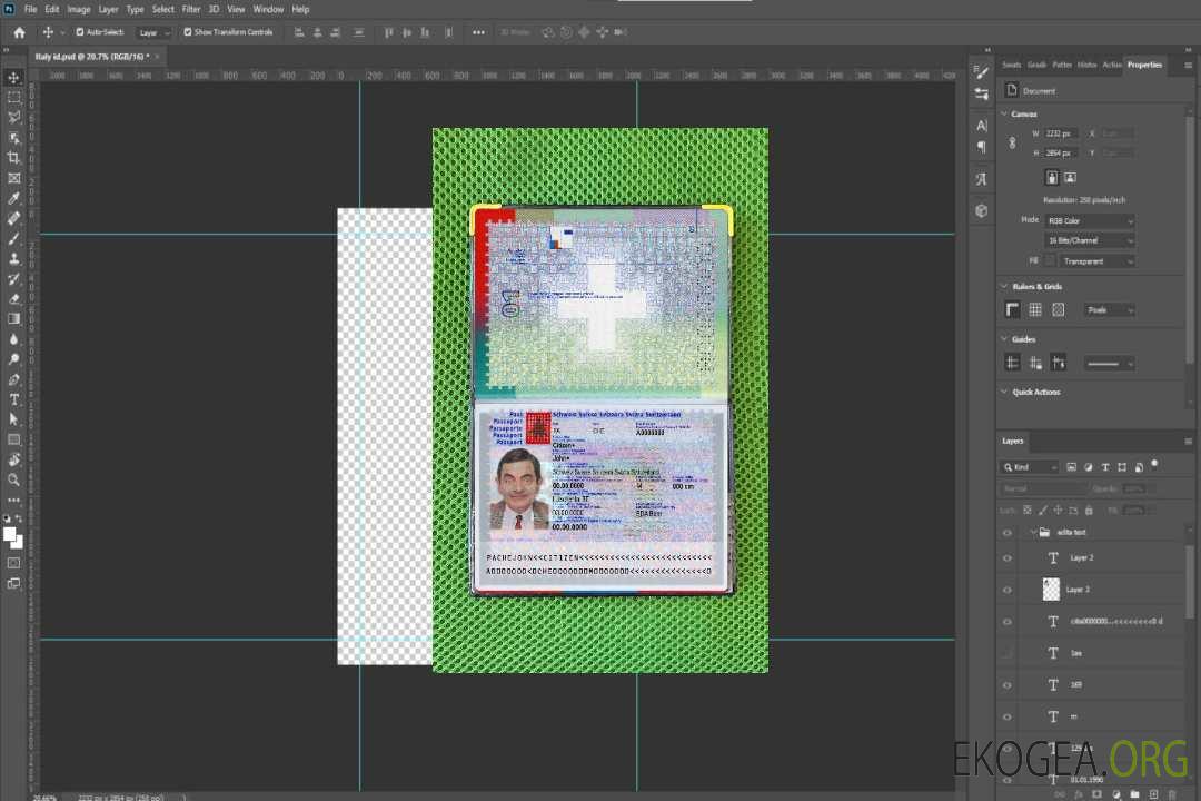 Look photo du passeport suisse template Look photo du passeport suisse template